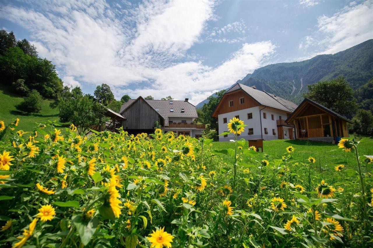 Apartments Tourist Farm Storman With Ev Ch-Station Tržič Exteriör bild