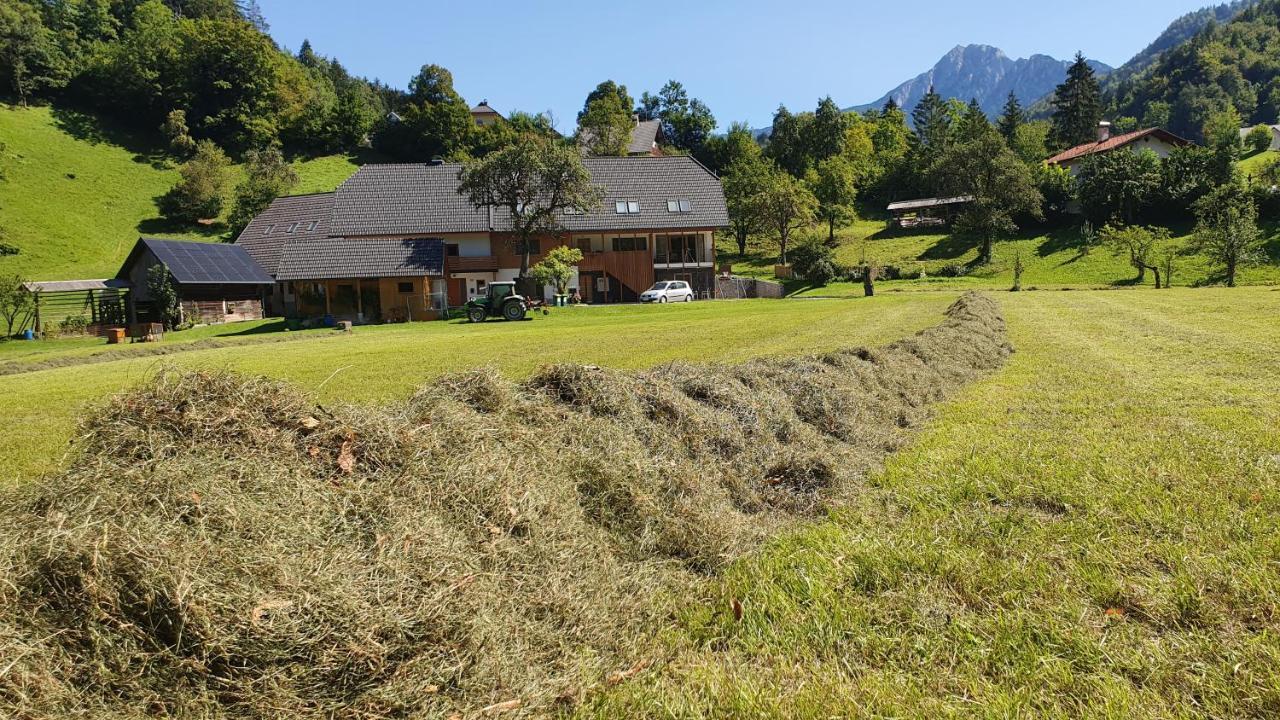 Apartments Tourist Farm Storman With Ev Ch-Station Tržič Exteriör bild