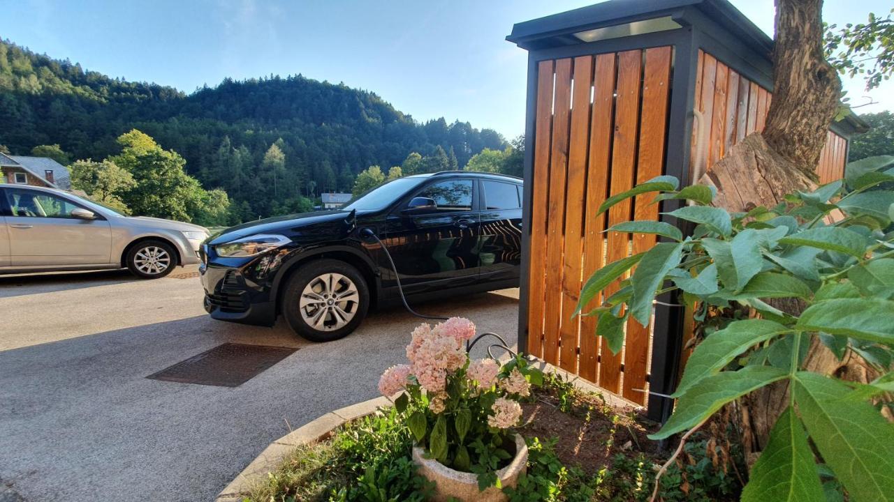 Apartments Tourist Farm Storman With Ev Ch-Station Tržič Exteriör bild