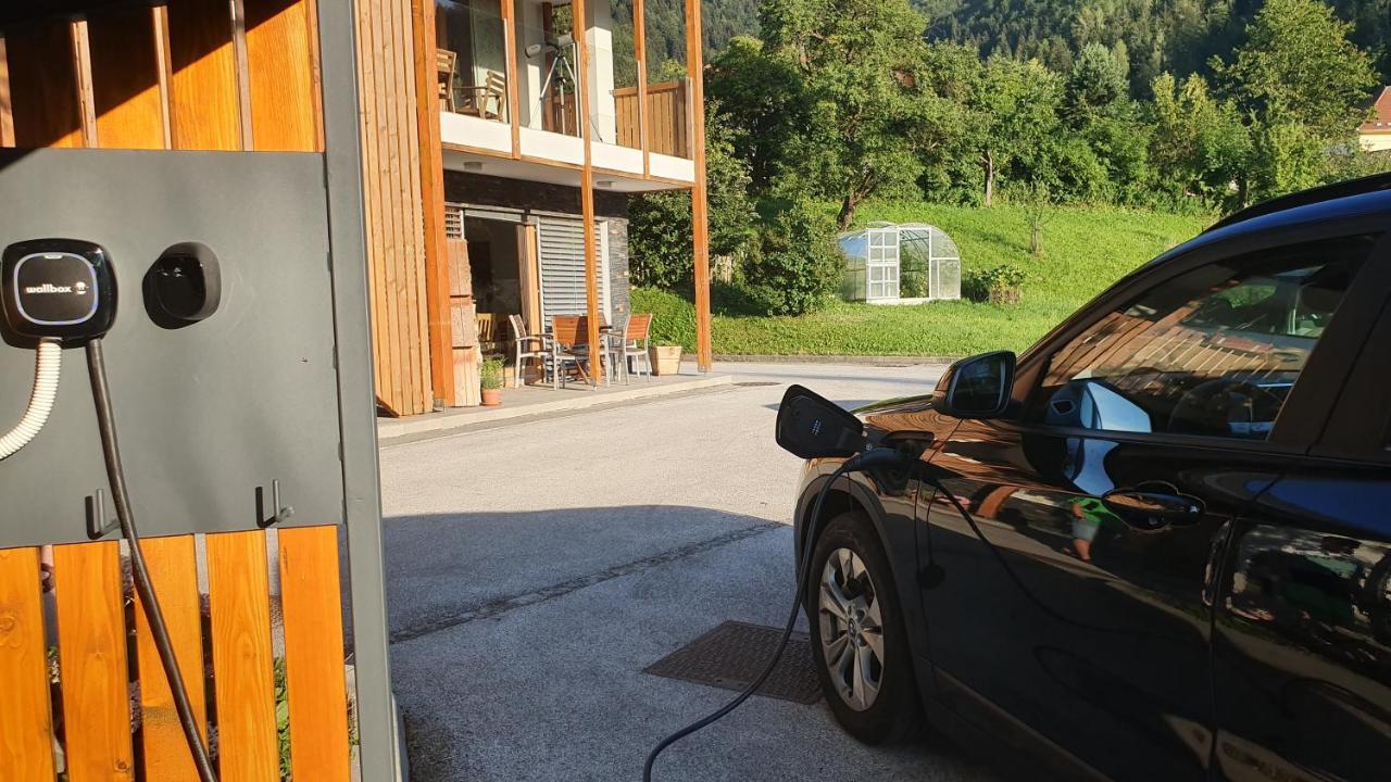 Apartments Tourist Farm Storman With Ev Ch-Station Tržič Exteriör bild